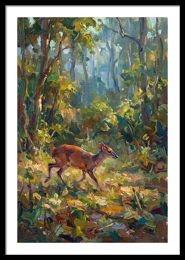 Blue Duiker In The Forest