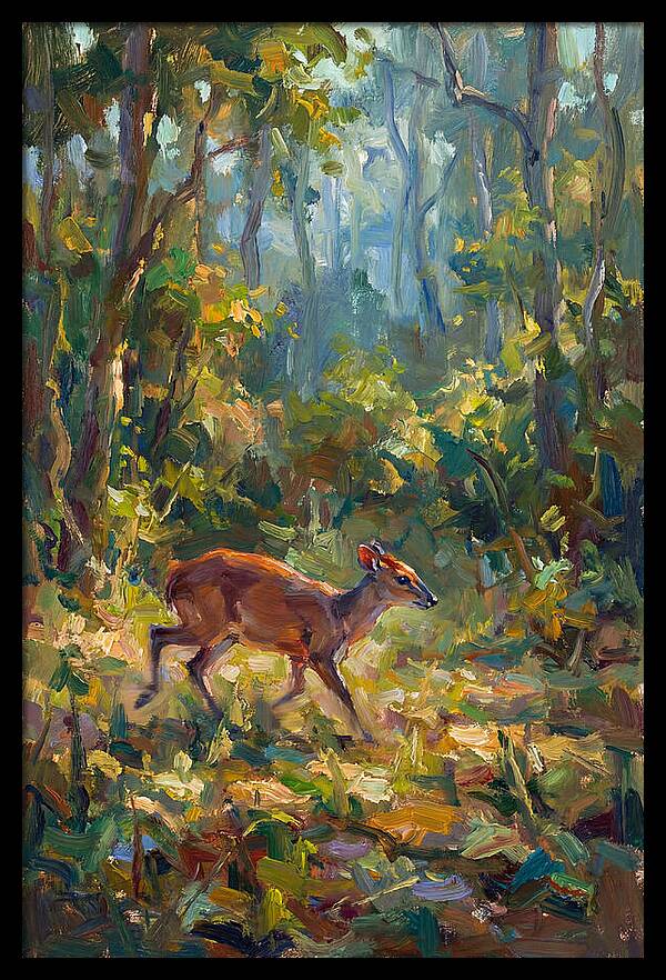 Blue Duiker In The Forest