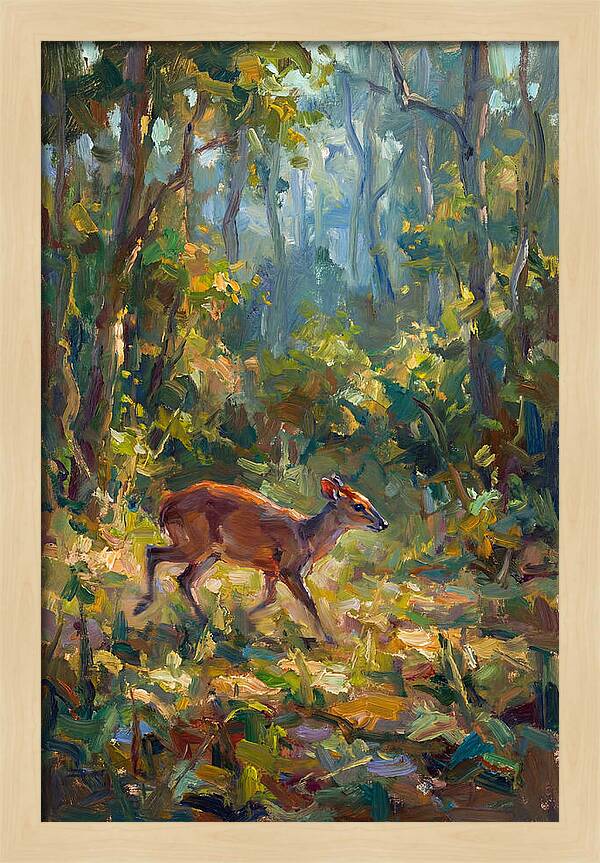 Blue Duiker In The Forest