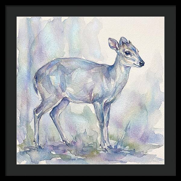 Blue Duiker In Watercolor