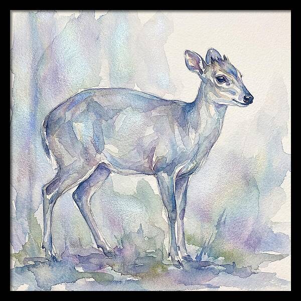 Blue Duiker In Watercolor