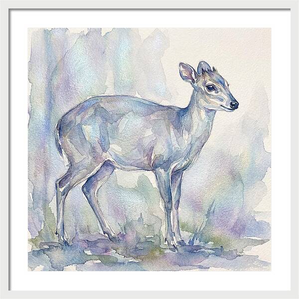 Blue Duiker In Watercolor