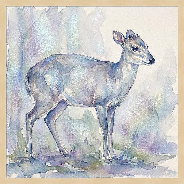 Blue Duiker In Watercolor