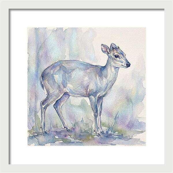 Blue Duiker In Watercolor