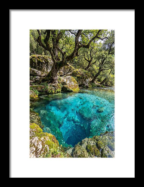 Blue Eye Spring Serenity