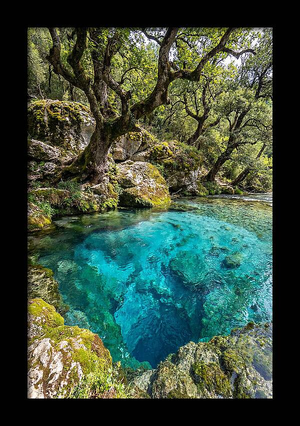 Blue Eye Spring Serenity