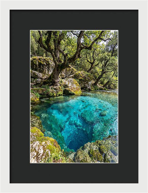 Blue Eye Spring Serenity