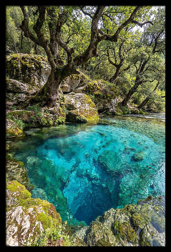 Blue Eye Spring Serenity