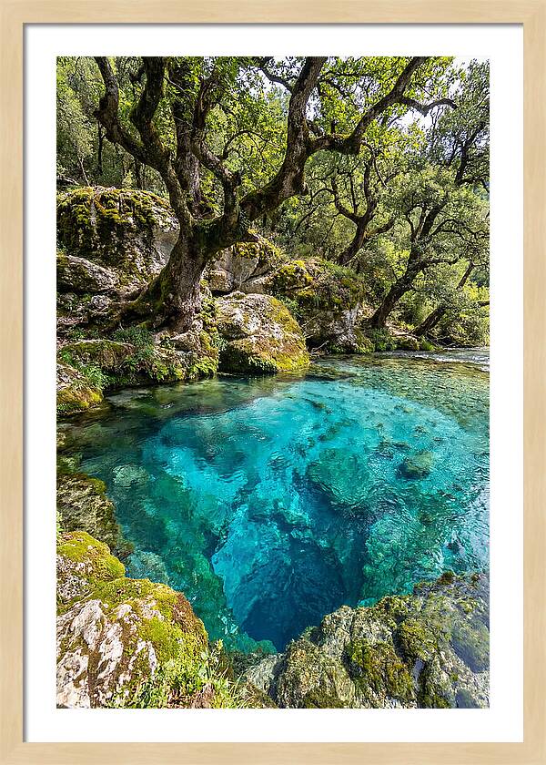 Blue Eye Spring Serenity