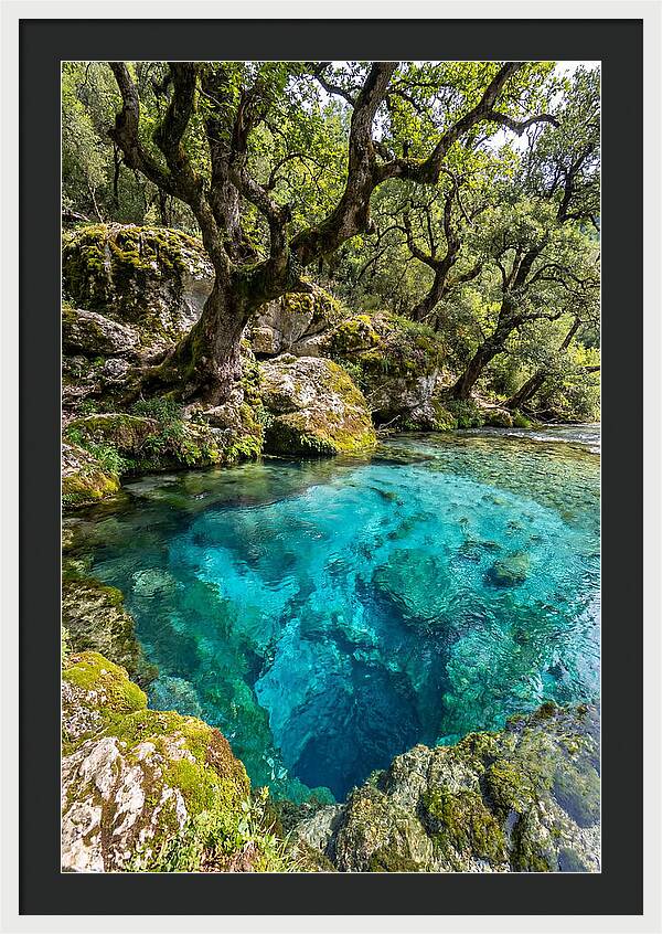 Blue Eye Spring Serenity