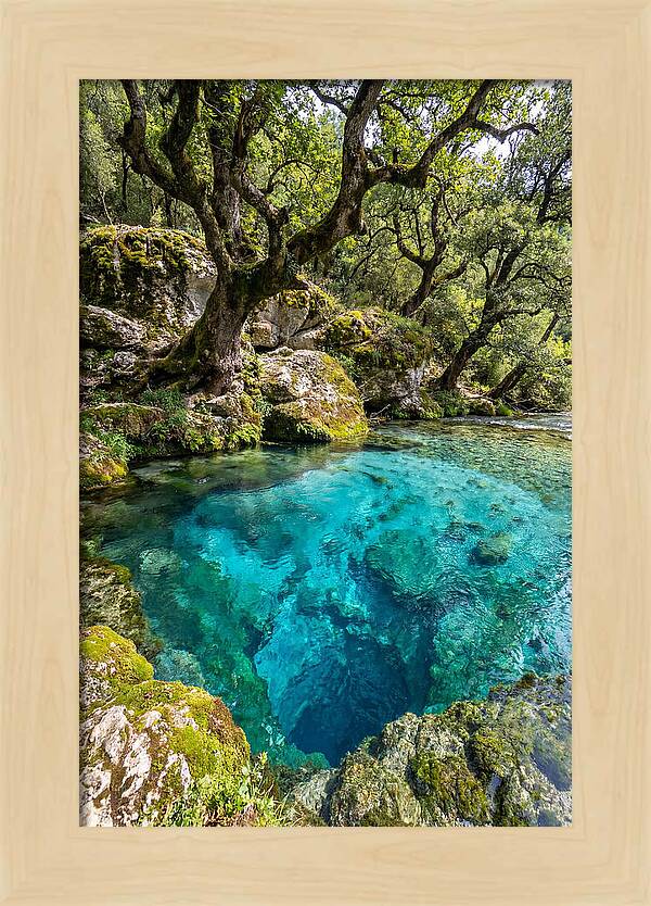 Blue Eye Spring Serenity
