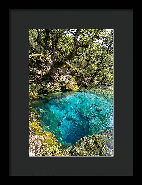 Blue Eye Spring Serenity