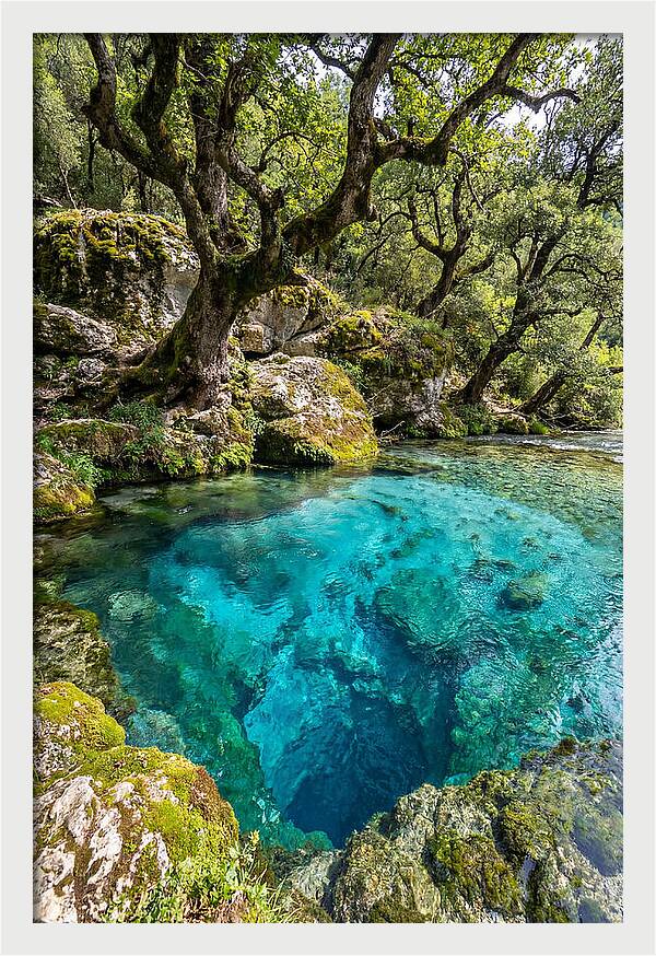 Blue Eye Spring Serenity