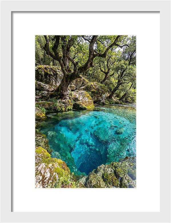 Blue Eye Spring Serenity