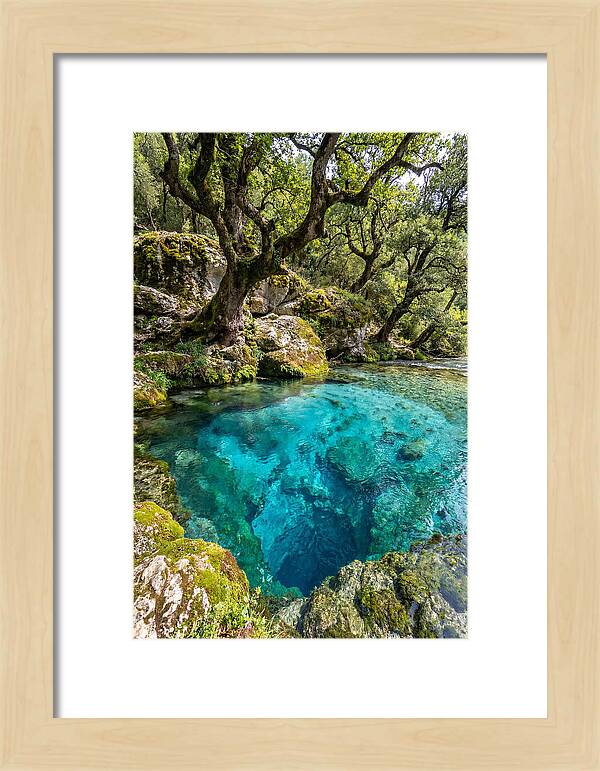 Blue Eye Spring Serenity