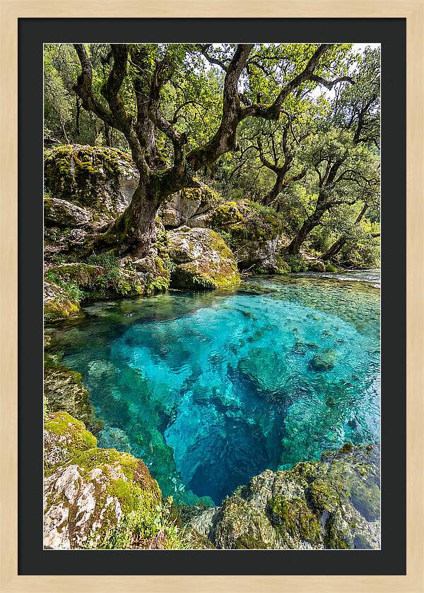 Blue Eye Spring Serenity