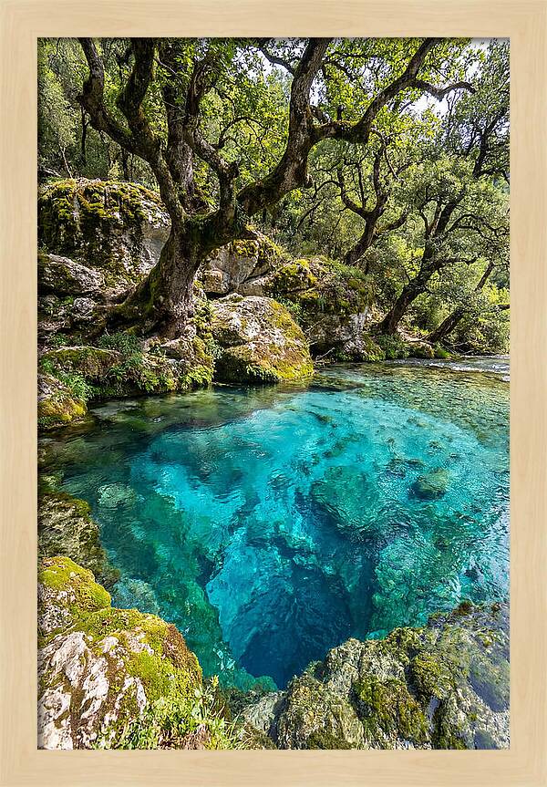 Blue Eye Spring Serenity