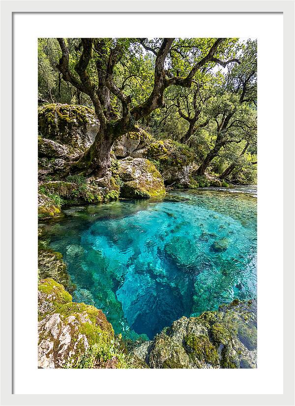 Blue Eye Spring Serenity