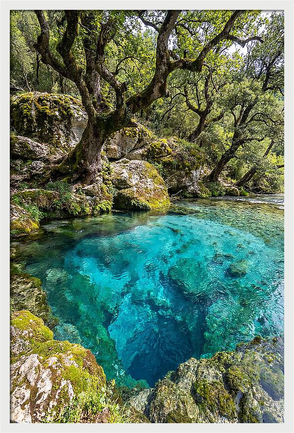 Blue Eye Spring Serenity