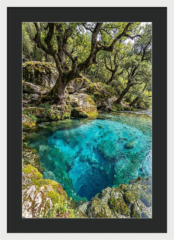 Blue Eye Spring Serenity