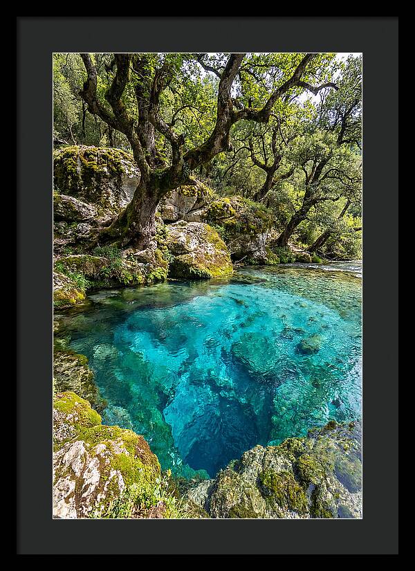 Blue Eye Spring Serenity