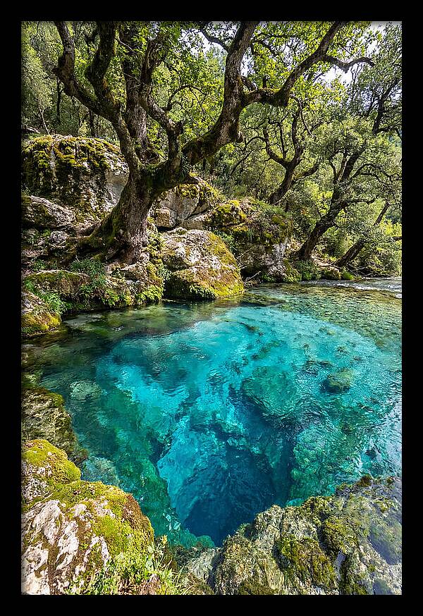 Blue Eye Spring Serenity