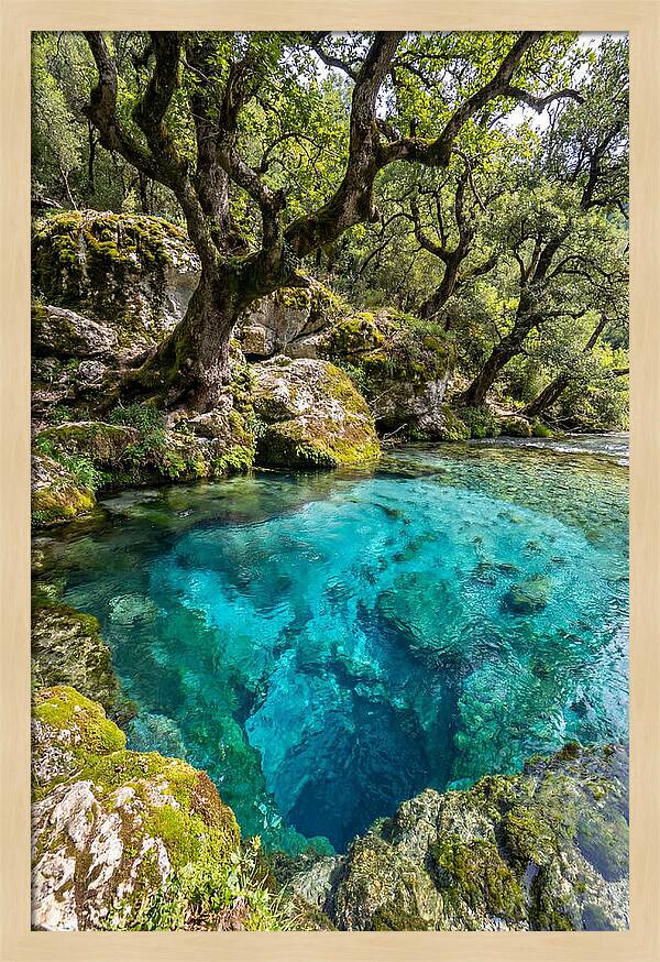 Blue Eye Spring Serenity
