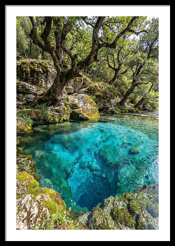 Blue Eye Spring Serenity