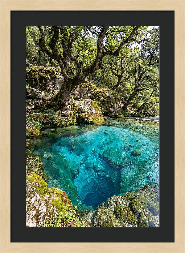 Blue Eye Spring Serenity