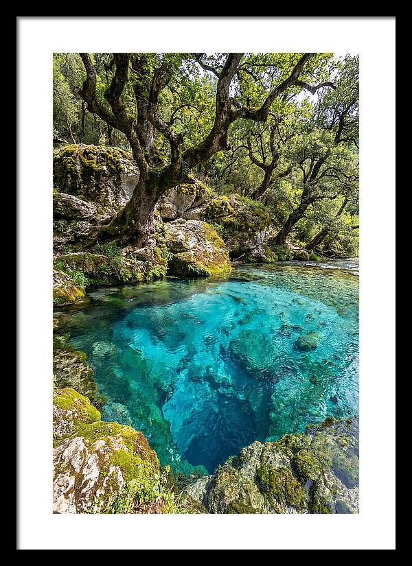 Blue Eye Spring Serenity