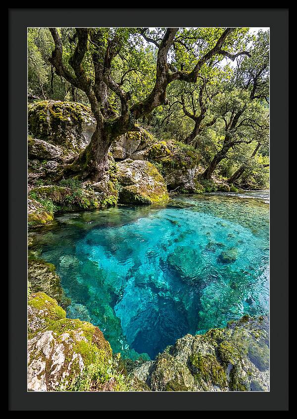 Blue Eye Spring Serenity