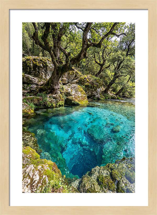 Blue Eye Spring Serenity