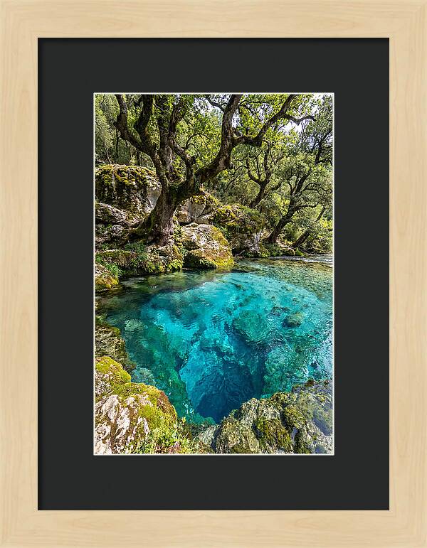 Blue Eye Spring Serenity