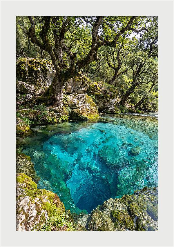 Blue Eye Spring Serenity