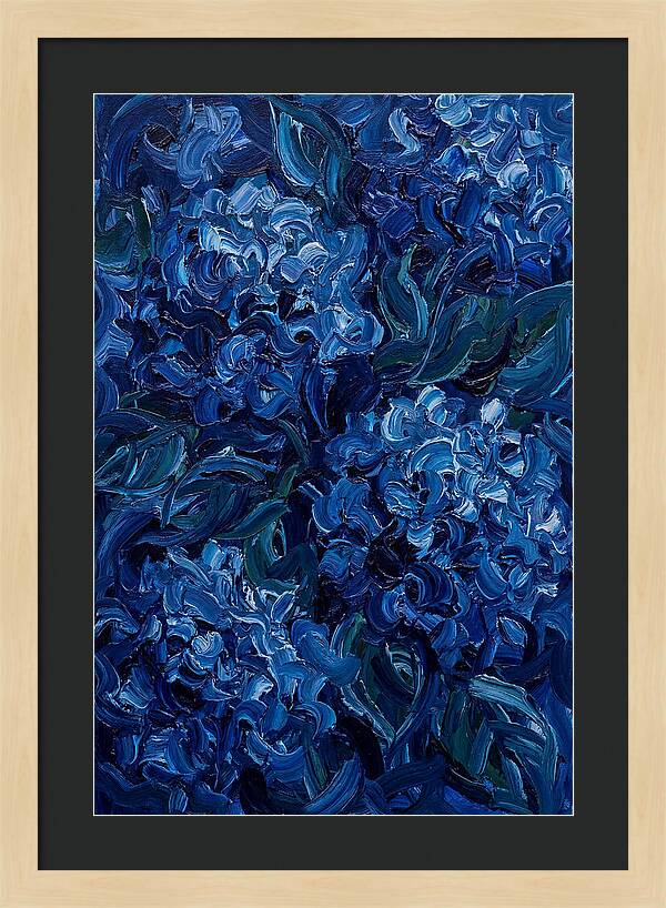 Blue Hydrangea Bliss