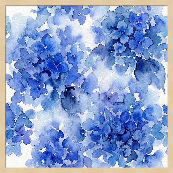Blue Hydrangea Blooms