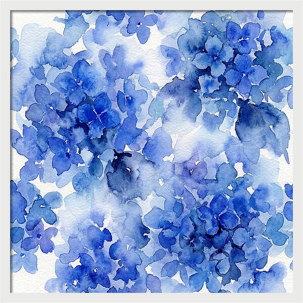 Blue Hydrangea Blooms