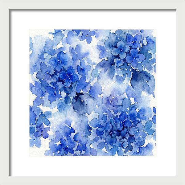 Blue Hydrangea Blooms