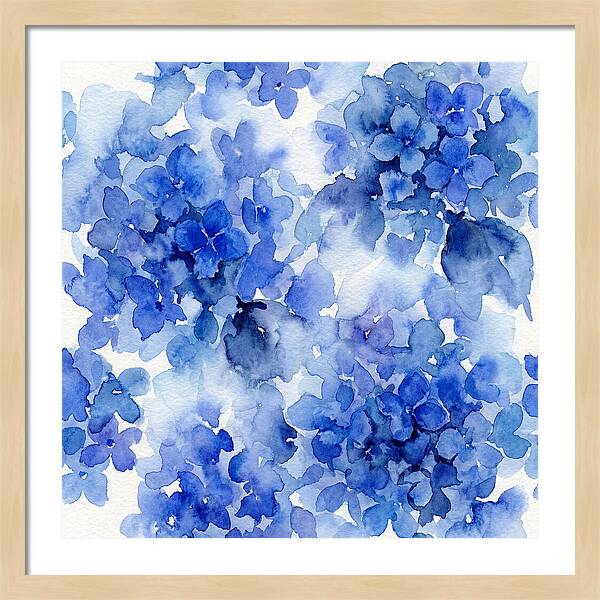 Blue Hydrangea Blooms