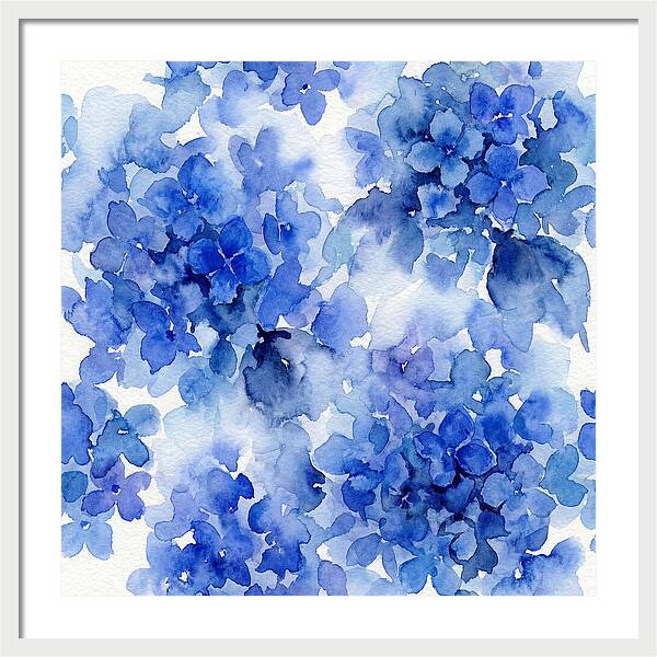 Blue Hydrangea Blooms