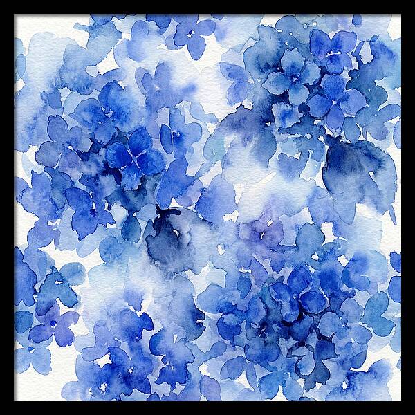Blue Hydrangea Blooms