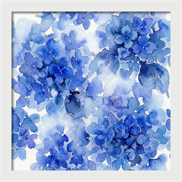 Blue Hydrangea Blooms
