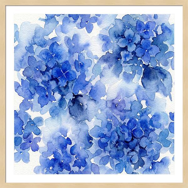 Blue Hydrangea Blooms