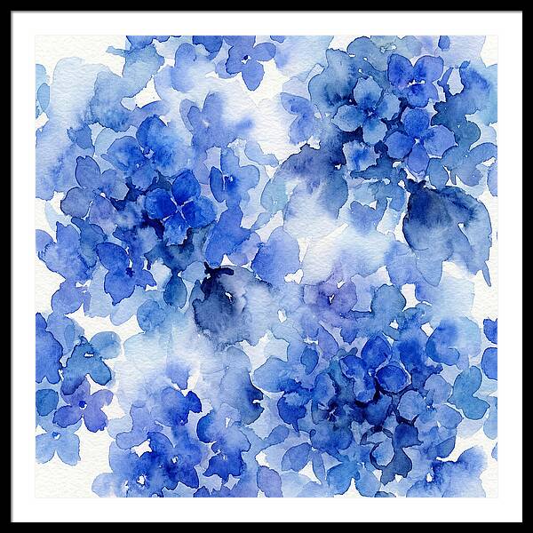 Blue Hydrangea Blooms