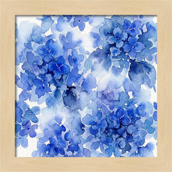 Blue Hydrangea Blooms