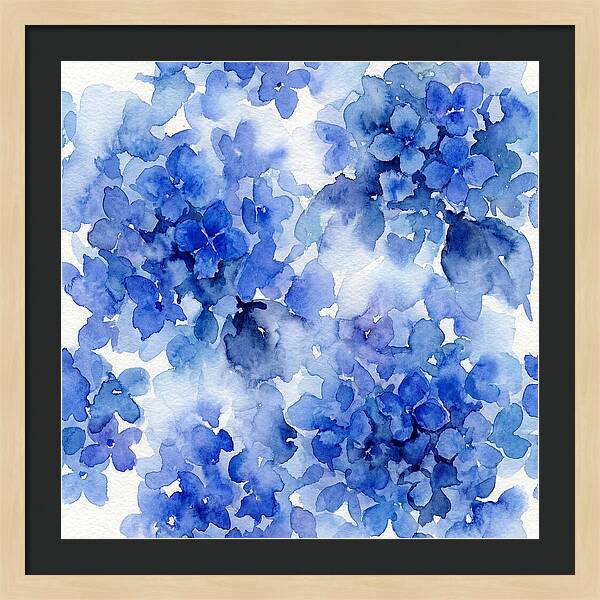 Blue Hydrangea Blooms