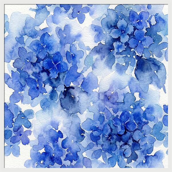Blue Hydrangea Blooms