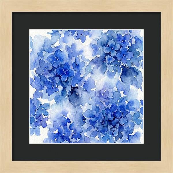 Blue Hydrangea Blooms
