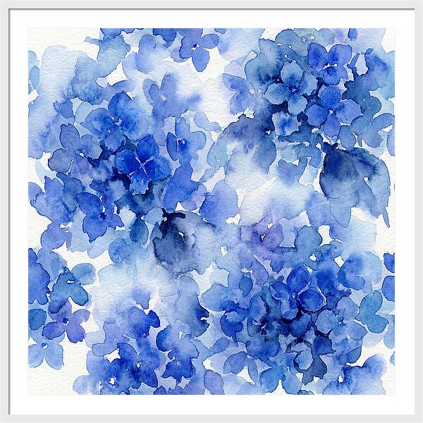 Blue Hydrangea Blooms