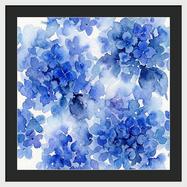 Blue Hydrangea Blooms